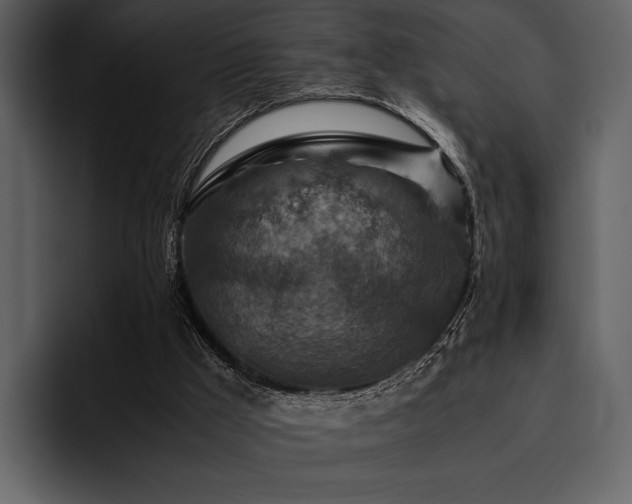 X0000095940009200801111339