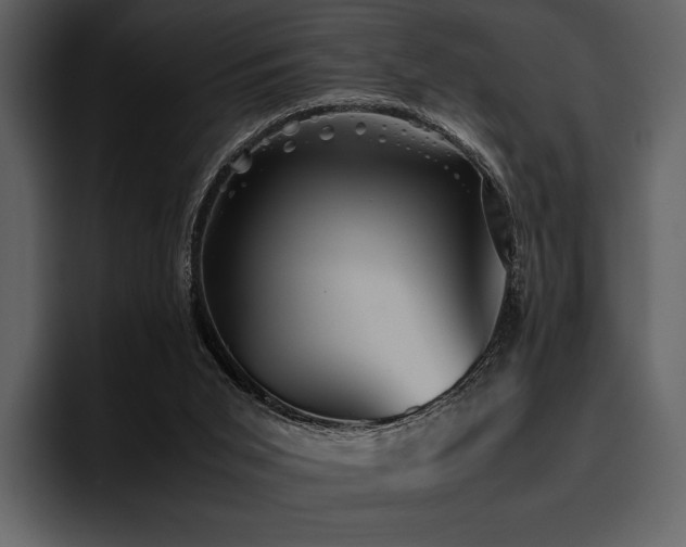 X0000095940015200801111339
