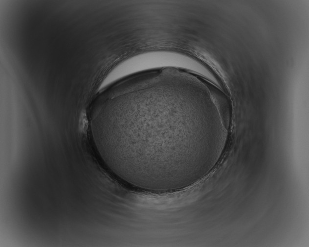 X0000095940017200801111339