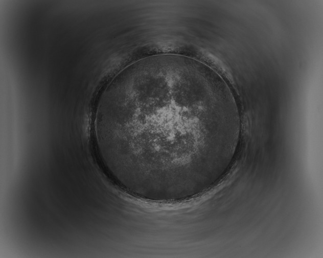X0000095940018200801111339