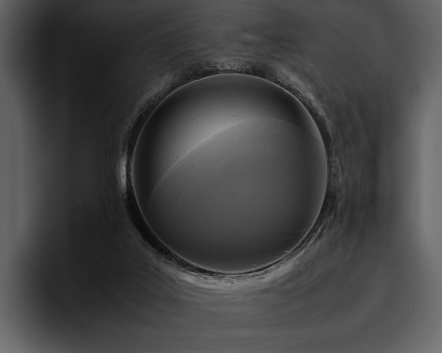 X0000095940019200801111339