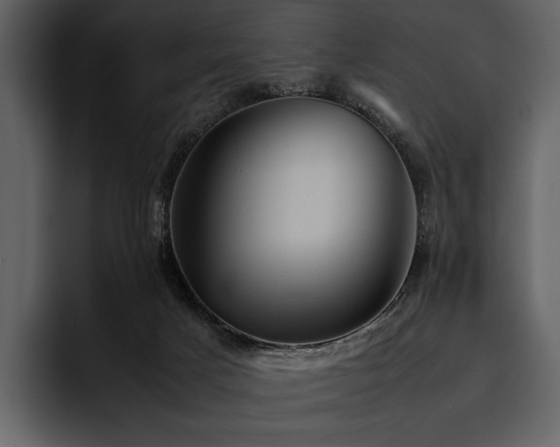X0000095940025200801111339