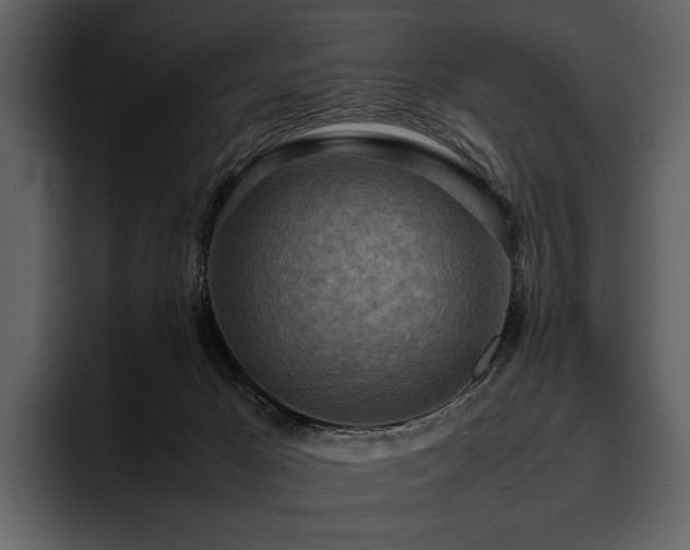 X0000095940029200801111339
