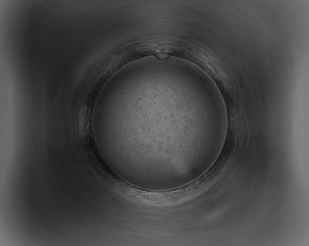 X0000095940030200801111339