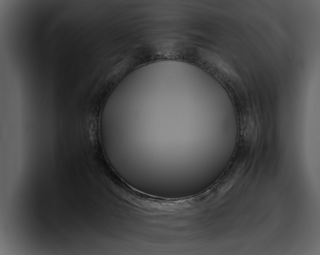 X0000095940036200801111339