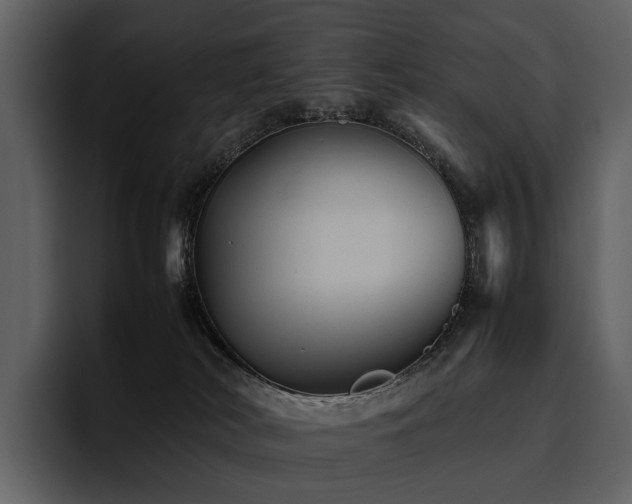 X0000095940038200801111339