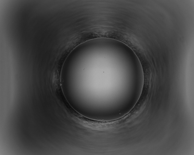 X0000095940040200801111338