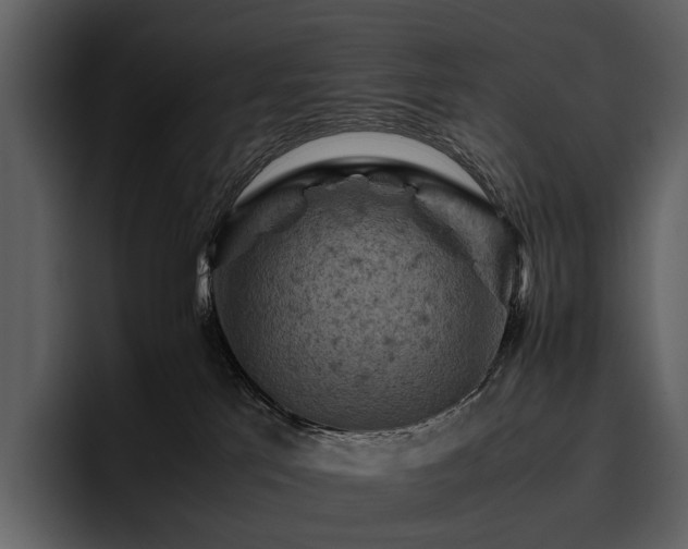X0000095940041200801111338