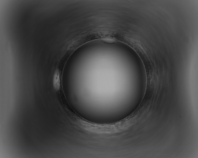 X0000095940042200801111338