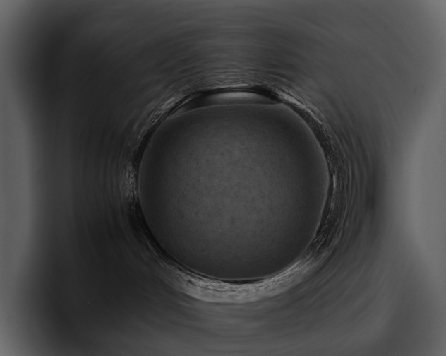 X0000095940048200801111338