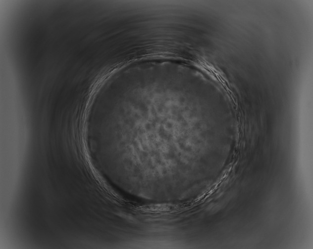 X0000095940049200801111338