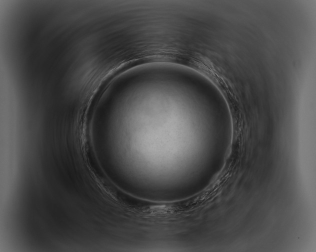 X0000095940050200801111338