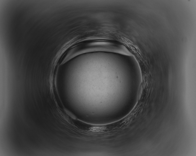 X0000095940051200801111338
