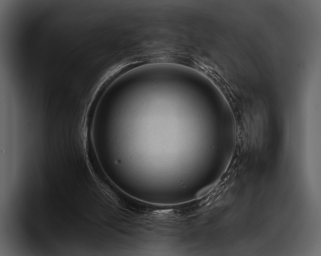 X0000095940054200801111338