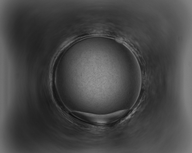 X0000095940055200801111338