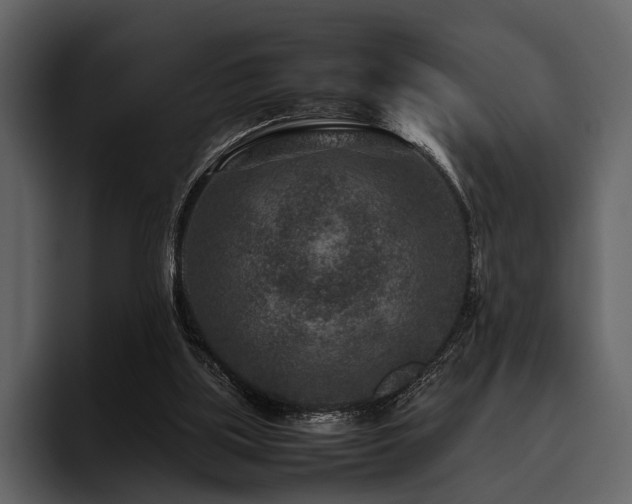 X0000095940059200801111338