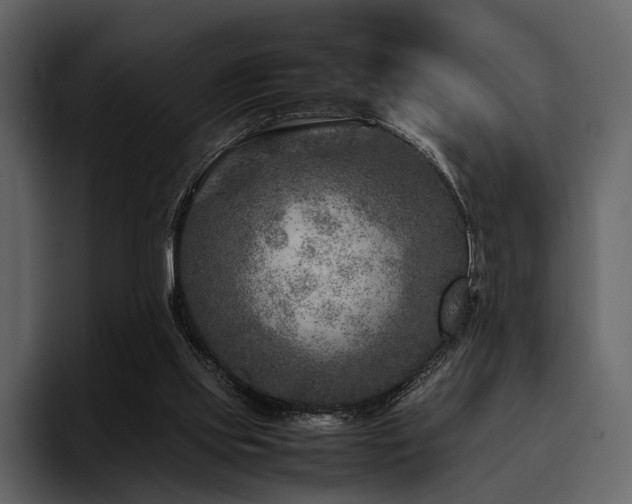 X0000095940061200801111338