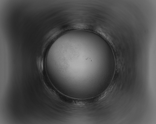 X0000095940062200801111338