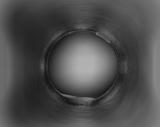 X0000095940064200801111338