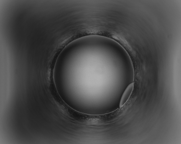 X0000095940066200801111338