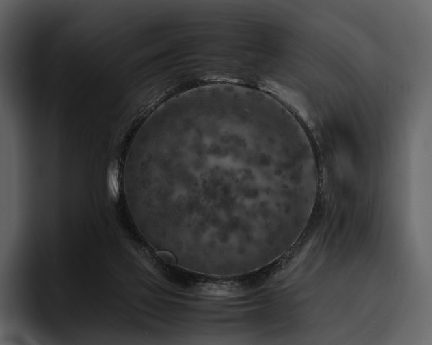 X0000095940069200801111338