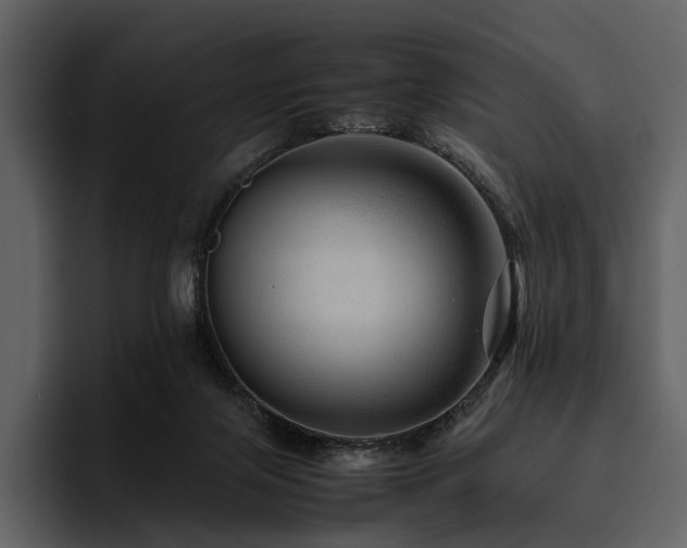 X0000095940071200801111338