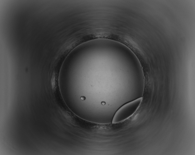 X0000095940074200801111338