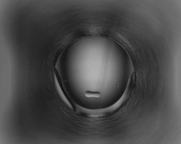 X0000095940075200801111338