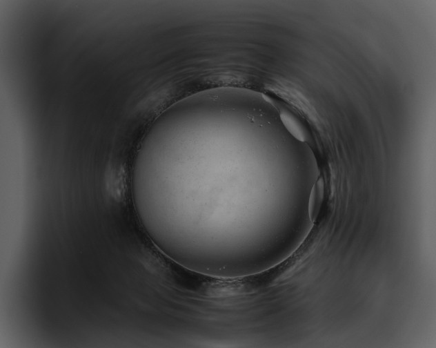 X0000095940077200801111338