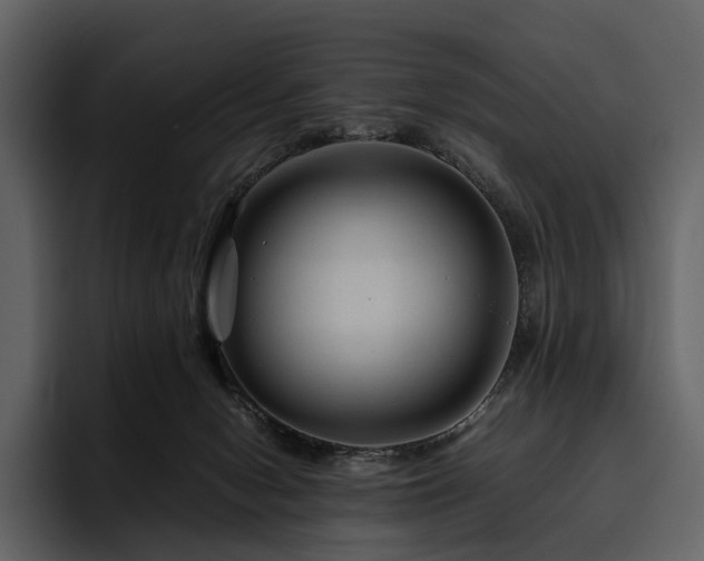 X0000095940078200801111338