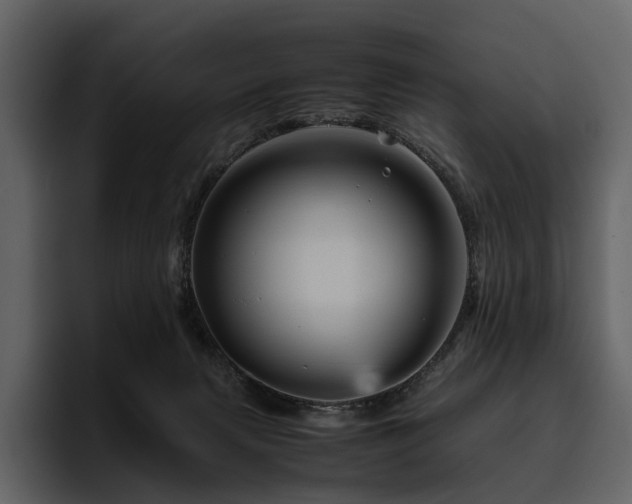 X0000095940079200801111338