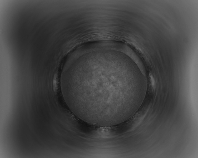 X0000095940080200801111338