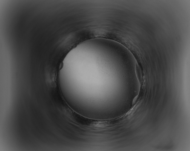 X0000095940082200801111338