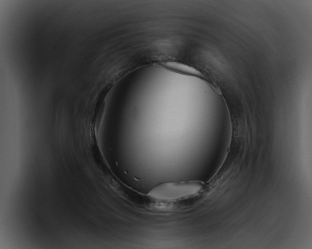 X0000095940084200801111338