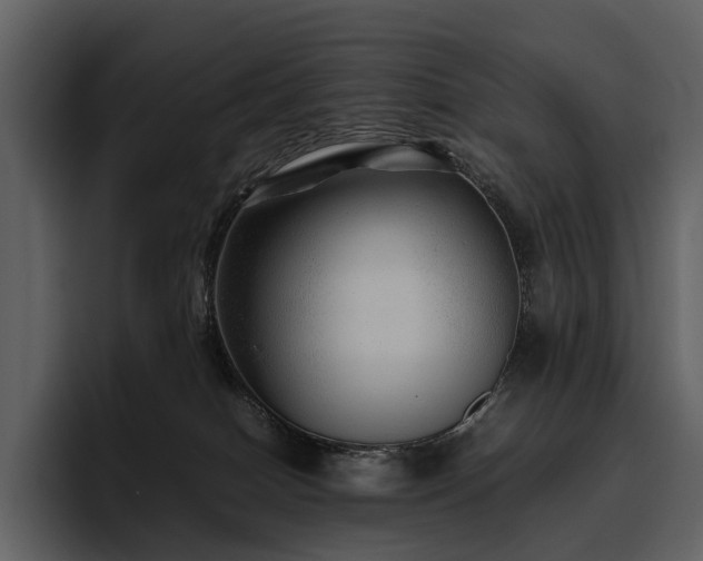 X0000095940086200801111338
