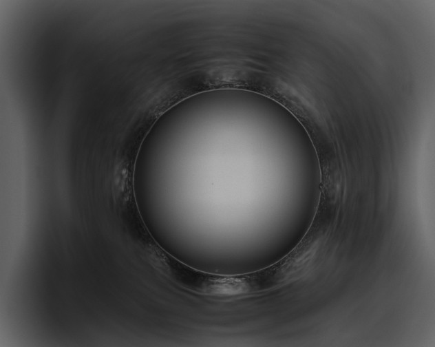 X0000095940087200801111338