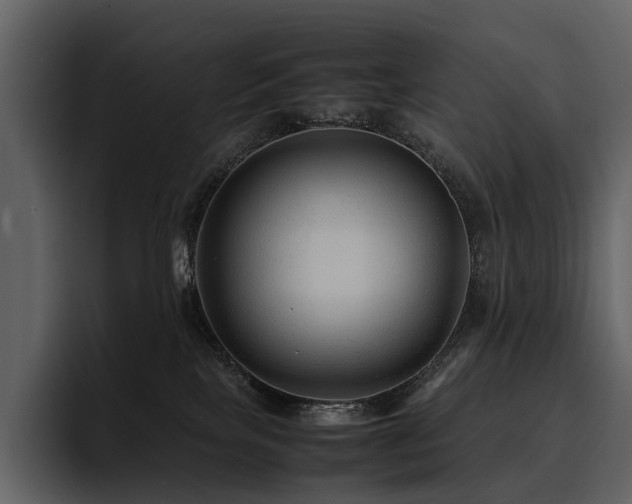 X0000095940089200801111338