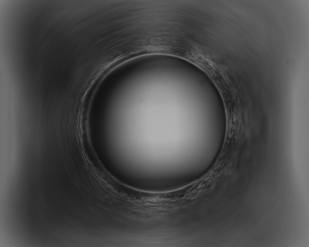 X0000095940098200801111338
