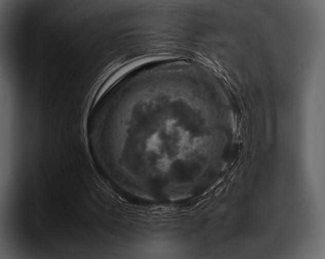 X0000095940099200801111338