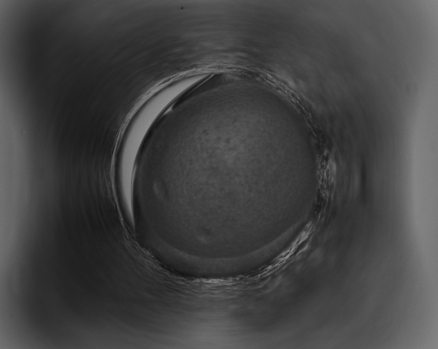 X0000095940100200801111338