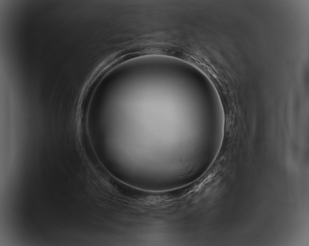 X0000095940101200801111338