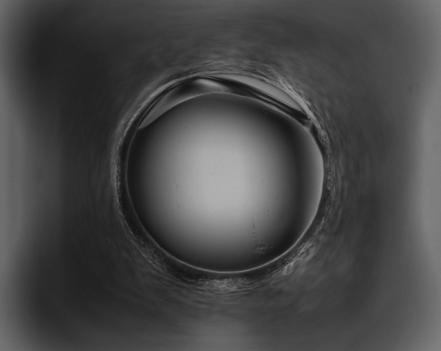 X0000095940103200801111338