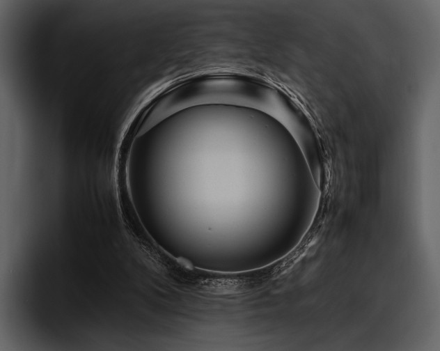 X0000095940104200801111338