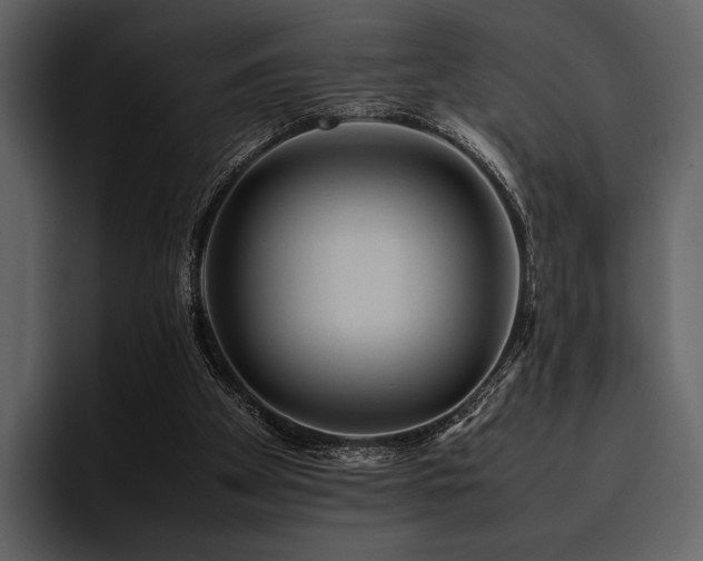 X0000095940105200801111338