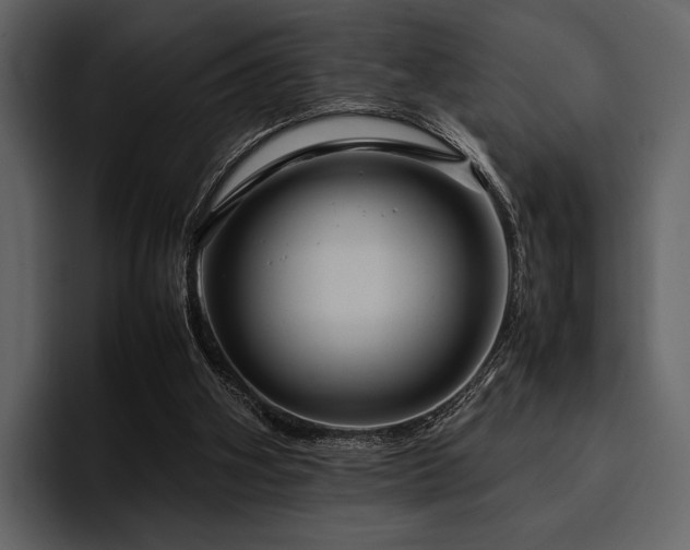 X0000095940106200801111338