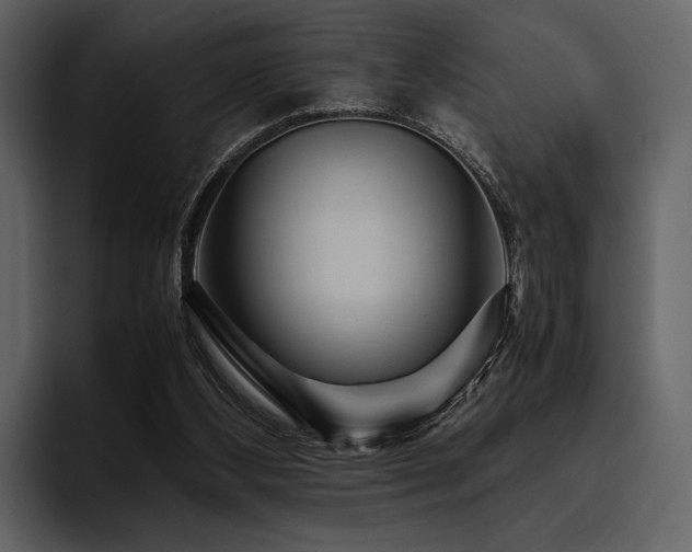 X0000095940108200801111338