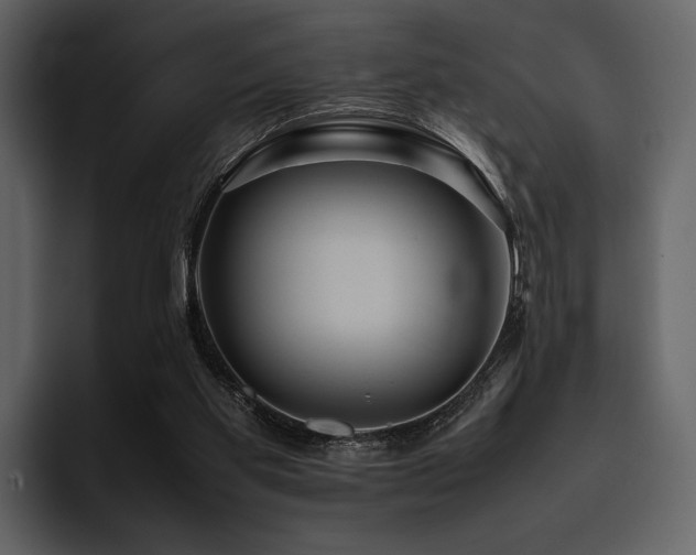 X0000095940109200801111338