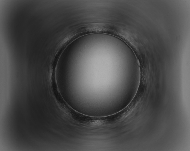 X0000095940111200801111338