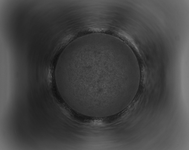 X0000095940114200801111338