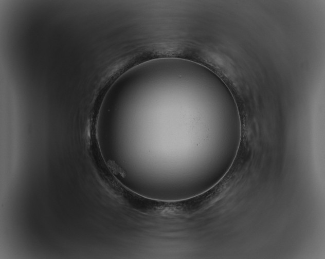X0000095940115200801111338